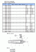 bhv diagram